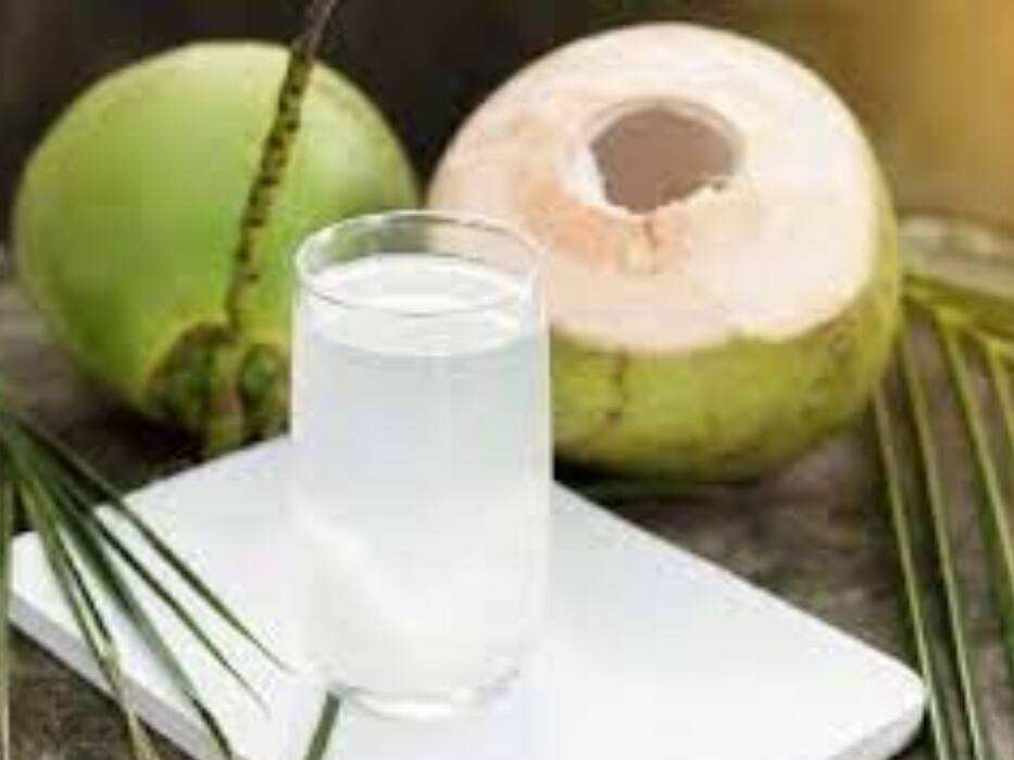 गर्मी में लू से बचने के लिए रोज पिएं ये 5 ड्रिंक्स, शरीर को तुरंत मिलेगी ठंडक और बीमारियां रहेंगी कोसों दूर