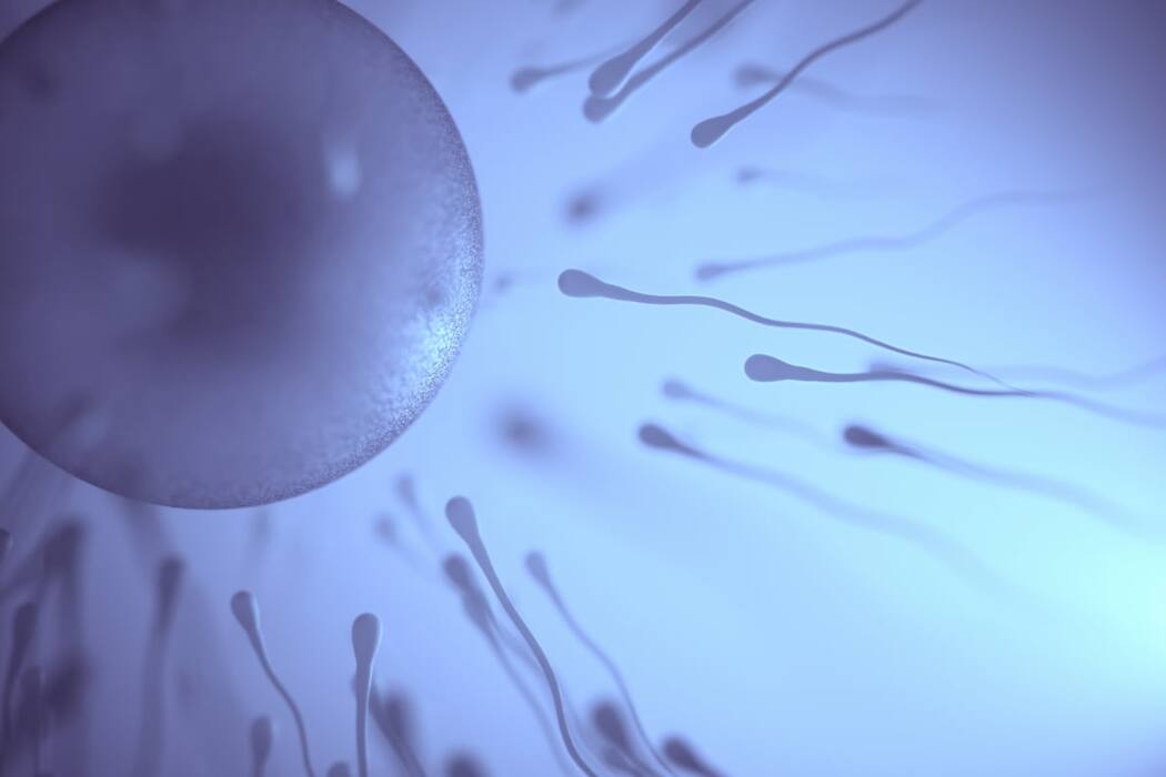 Breaking The Age Barrier: Early Age Egg Freezing Empowers Women In Family Planning And Career Pursuits