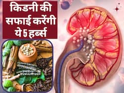किडनी के कोने-कोने से गंदगी बाहर निकाल देंगी ये 5 जड़ी-बूटियां, कई रोगों से होगा बचाव