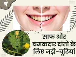 ओरल हेल्थ के लिए बहुत फायदेमंद हैं ये 5 जड़ी-बूटियां, मुंह की बदबू होगी दूर और मिलेंगे सफेद-चमकदार दांत