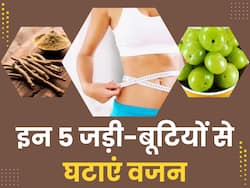 मेटाबॉलिज्म बूस्ट करने में कारगर हैं ये 5 आयुर्वेदिक जड़ी-बूटियां, तेजी से घटेगा आपका वजन
