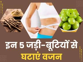 मेटाबॉलिज्म बूस्ट करने में कारगर हैं ये 5 आयुर्वेदिक जड़ी-बूटियां, तेजी से घटेगा आपका वजन