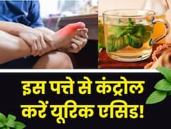 जोड़ों में जमा यूरिक एसिड को पूरी तरह खींचकर बाहर कर देगा ये 1 पत्ता, जानें इस्तेमाल करने का तरीका