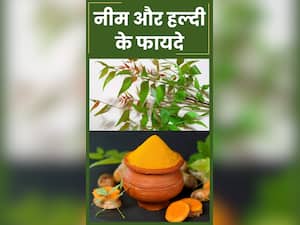 नीम और हल्दी खाने के 10 बेहतरीन फायदे