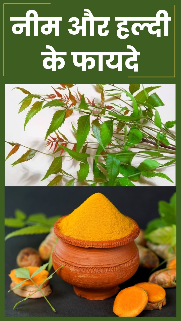 नीम और हल्दी खाने के 10 बेहतरीन फायदे