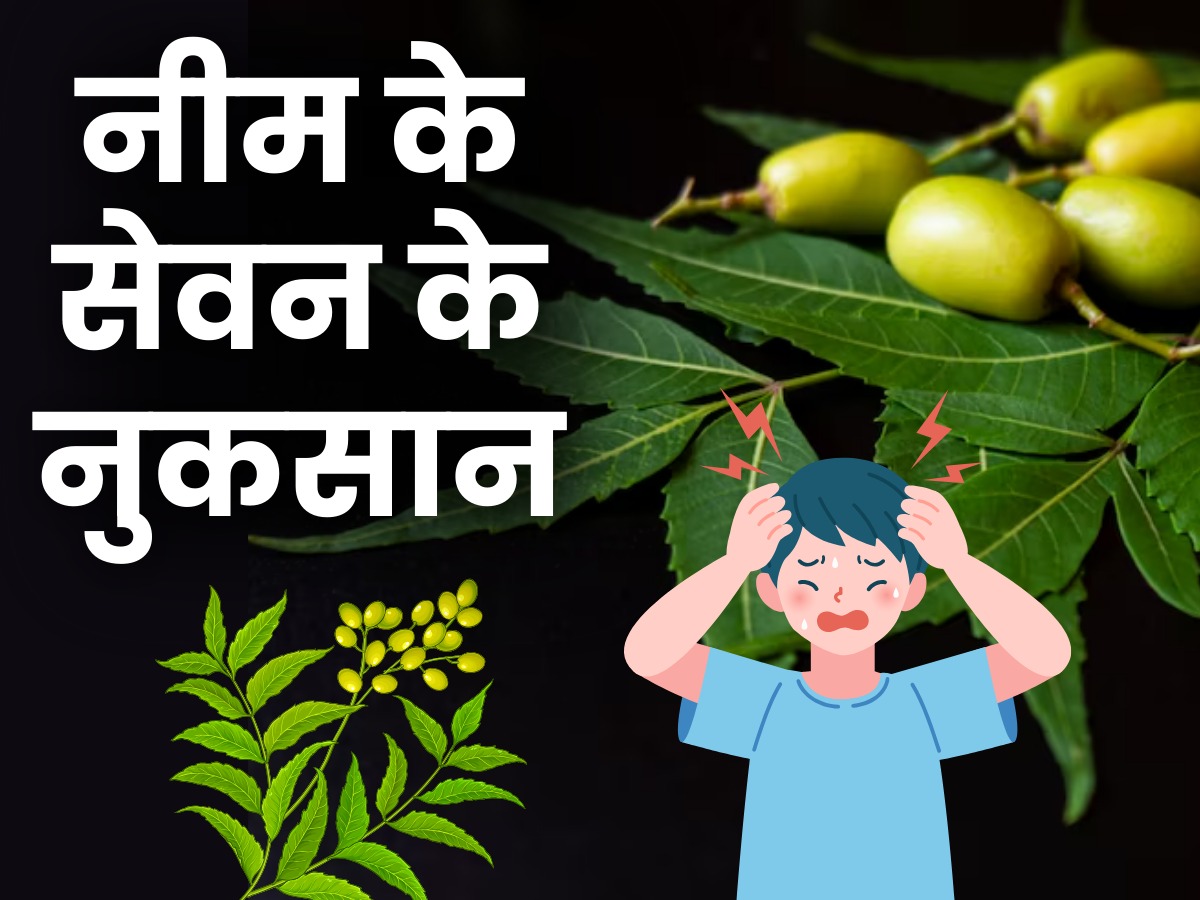 Neem Leaves Side Effects: नीम की पत्तियां ज्यादा खाने के नुकसान