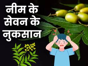 Neem Leaves Side Effects: नीम की पत्तियां ज्यादा खाने के नुकसान