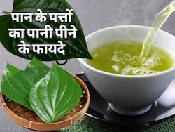 कब्ज से लेकर जोड़ों के दर्द से राहत दिला सकता है पान के पत्तों को पानी, खाली पेट इस तरह करें सेवन