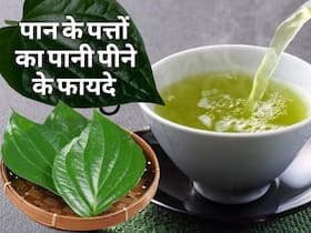कब्ज से लेकर जोड़ों के दर्द से राहत दिला सकता है पान के पत्तों को पानी, खाली पेट इस तरह करें सेवन