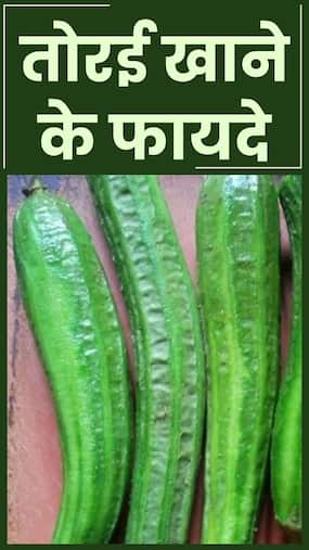 तोरई खाने से सेहत को मिलते हैं ये 8 फायदे