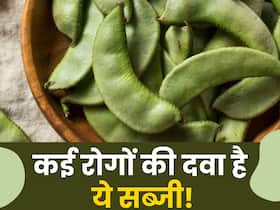 न्यूट्रिशन का पावर हाउस है मटर जैसी दिखने वाली ये सब्जी, इसके फायदे जानेंगे तो आज से ही शुरू कर देंगे खाना न्यूट्रिशन का पावर हाउस है मटर जैसी दिखने वाली ये सब्जी, इसके फायदे जानेंगे तो आज से ही शुरू कर देंगे खाना