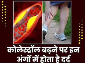 हाई कोलेस्ट्रॉल होने पर शरीर में कहां-कहां होता है दर्द, जानिए क्या है कोलेस्ट्रॉल का सामान्य स्तर