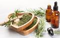 4 Benefits Of Using Rosemary Oil With Shampoo