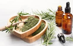 5 Benefits Of Using Rosemary Oil With Shampoo