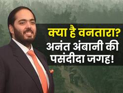 अनंत अंबानी के वनतारा में जानवरों को मिलेंगी 5 star सुविधाएं, हाथियों की होगी स्पेशल मसाज