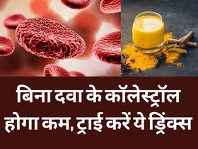 बढ़े हुए कोलेस्ट्रॉल को बिना दवा कम करेंगी ये 5 Homemade Drinks, बीपी और मोटापा भी होगा कंट्रोल