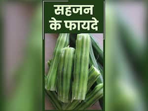 सहजन की फलियां खाने के फायदे