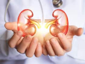 World Kidney Day 2024: शरीर को हेल्दी रखने के लिए किडनी का स्वास्थ्य है कितना जरूरी, एक्सपर्ट्स ने दी जानकारी