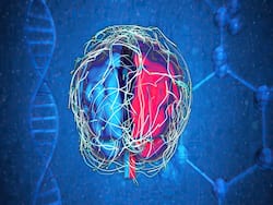 How Neurons Drive Goal-Directed Behavior