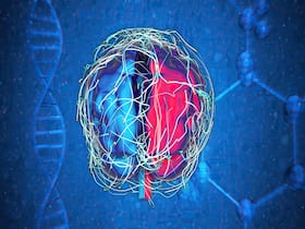 How Neurons Drive Goal-Directed Behavior How Neurons Drive Goal-Directed Behavior