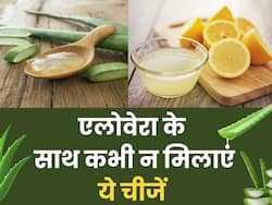एलोवेरा में मिलाकर भूल से भी लगाएं ये 3 चीज, खूबसूरती की जगह चेहरा पड़ जाएगा काला