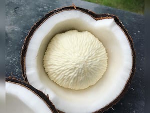 Nariyal Ke Phool: 10 Health Benefits Of Coconut Flower