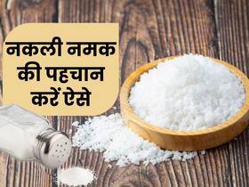 कहीं नकली नमक तो नहीं खा रहे आप, ब्रेन कर देगा काम करना बंद, इस तरह पहचानें असली और नकली नमक