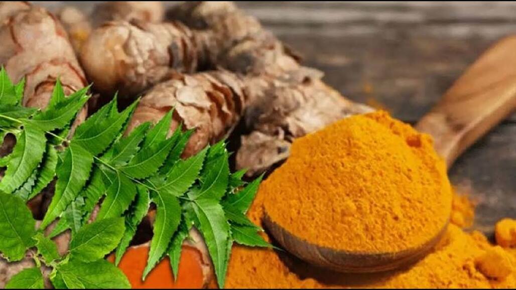 Turmeric And Neem On Empty Stomach: What Does Neem And Turmeric Do To Your Body?