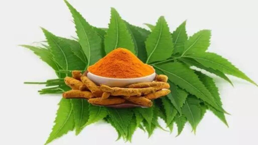 Turmeric And Neem On Empty Stomach: What Does Neem And Turmeric Do To Your Body?