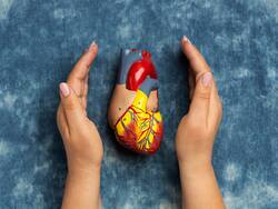 Unveiling The Future Of Cardiovascular Health: Novel Catheter Revolutionizes Plaque Visualization