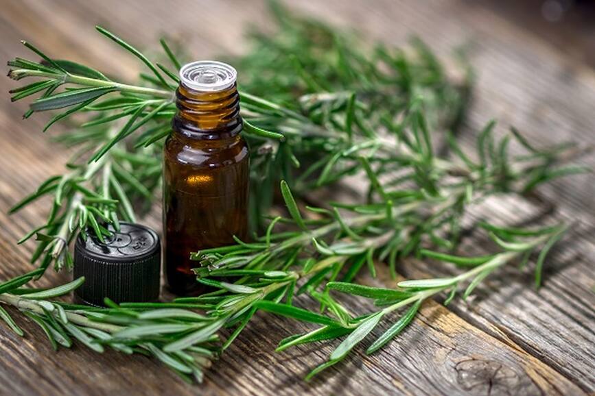 How Do You Make Coconut Hair Oil With Aloe Vera And Curry Leaves?