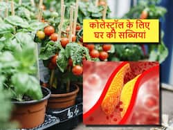 घर की ये 5 नेचुरल सब्जियां जिन्हें खाने से कंट्रोल होने लगेगा कोलेस्ट्रॉल, दवाओं की भी नहीं पड़ेगी जरूरत