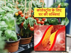 घर की ये 5 नेचुरल सब्जियां जिन्हें खाने से कंट्रोल होने लगेगा कोलेस्ट्रॉल, दवाओं की भी नहीं पड़ेगी जरूरत घर की ये 5 नेचुरल सब्जियां जिन्हें खाने से कंट्रोल होने लगेगा कोलेस्ट्रॉल, दवाओं की भी नहीं पड़ेगी जरूरत