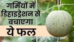 Muskmelon Benefits in Summer: गर्मी में खरबूजा खाने से नहीं हो ये समस्या