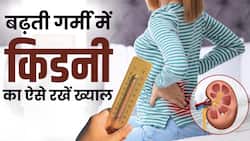 Kidney ka kaise rakhein khayaal: बढ़ती गर्मी के बीच किडनी का ऐसे रखें ख्याल, फॉलो करें ये टिप्स