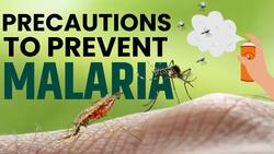 World Malaria Day: What Precautions Should Take To Prevent Malaria?