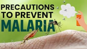 World Malaria Day: What Precautions Should Take To Prevent Malaria? World Malaria Day: What Precautions Should Take To Prevent Malaria?