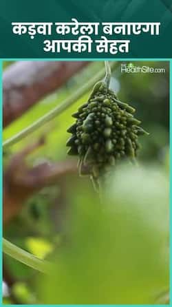 Why include bitter gourd in your diet?