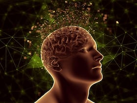 Psychosis: Brain Scan Study Sheds Light On Mental Health Mystery
