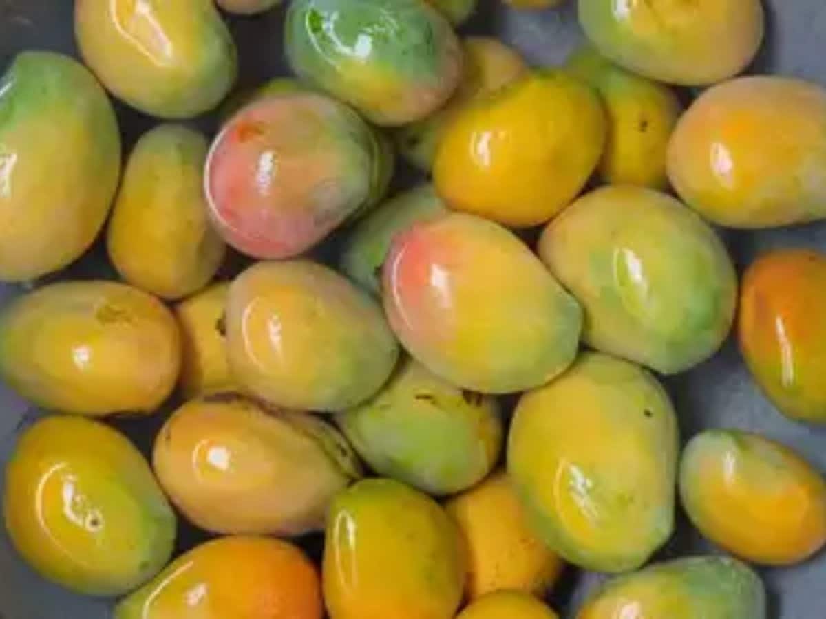 Benefits of Soaking Mango in Water Before Eating