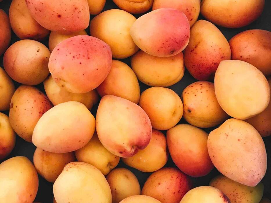 Benefits of Soaking Mango in Water Before Eating