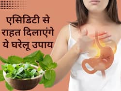गर्मियों में एसिडिटी से हैं परेशान तो आजमाएं ये घरेलू उपाय, पेट की जलन और गर्मी से तुरंत मिलेगी राहत