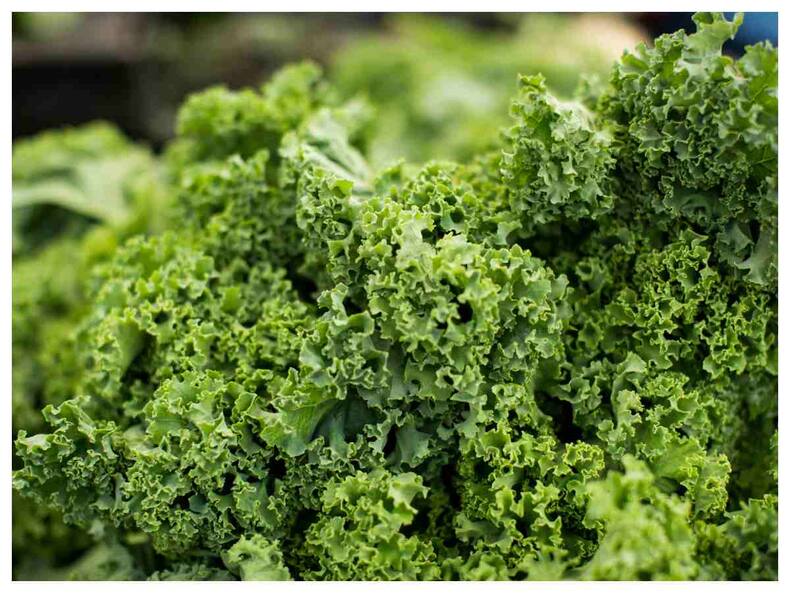 Diabetic Retinopathy Management Diet Tips: How To Prevent Eye Problems Due To High Blood Sugar