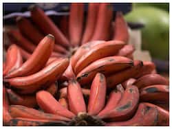 6 Unknown Side Effects of Red Banana You Should Know