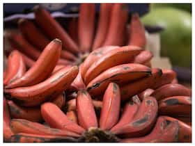 6 Unknown Side Effects of Red Banana You Should Know