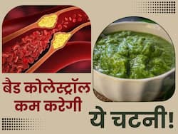 दिल की धमनियों मे जमा Bad Cholesterol को बाहर निकाल देगी इस हरे फल की चटनी, चकाचक रहेगी हार्ट हेल्थ