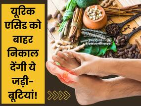 जोड़ों से सारा यूरिक एसिड निचोड़ देंगी ये आयुर्वेदिक जड़ी-बूटियां, जॉइंट्स पेन से तुरंत मिलेगी निजात