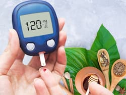 Diabetes Management Ayurvedic Diet Tips: Top 7 Medicinal Herbs For Lowering High Blood Sugar Levels Naturally