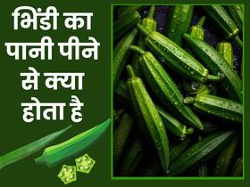 भिंडी का पानी है बैड कोलेस्ट्रॉल का दुश्मन, जानें भिंडी का पानी पीने के अन्य फायदे भिंडी का पानी है बैड कोलेस्ट्रॉल का दुश्मन, जानें भिंडी का पानी पीने के अन्य फायदे