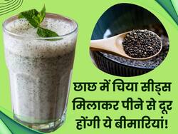 गर्मियों में छाछ में मिलाकर पिएं चिया सीड्स, पाचन दुरुस्त रखने से लेकर वजन घटाने में मिलेगी मदद